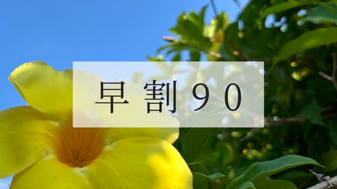 【早割90】90日前までのご予約でお得にステイ〜非日常が新たな日常になる球美の島〜＜素泊まり＞